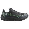 Salomon Herren Laufschuh Thundercross GTX