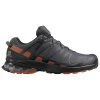 Salomon Herren Trail Laufschuhe XA Pro 3D V8 GTX