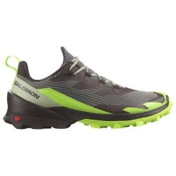 Salomon Herren Wanderschuh Cross Over 2 Gore-Tex